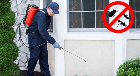 Haliliye Böcek İlaçlama böcek ilaçlama ve haşere kontrolü — ilaclama-tr.com